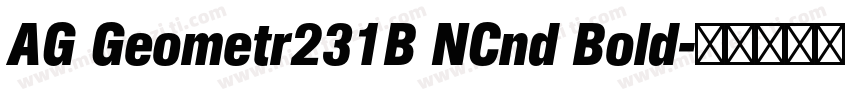 AG Geometr231B NCnd Bold字体转换